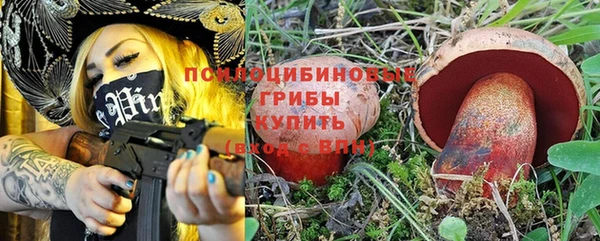 дурь Богородск
