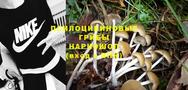 таблы Богданович