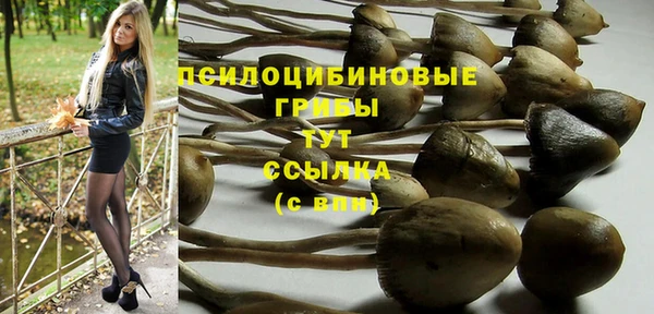 прущие крисы Беломорск