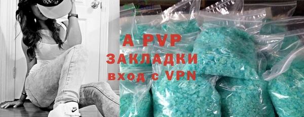 apvp Богородицк