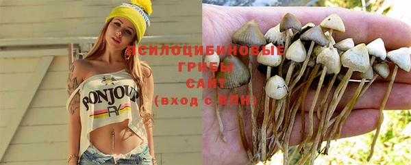apvp Богородицк